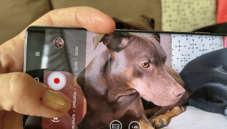 TCL, smartphone, 20 pro, 5G